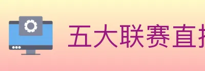 五大联赛直播 logo